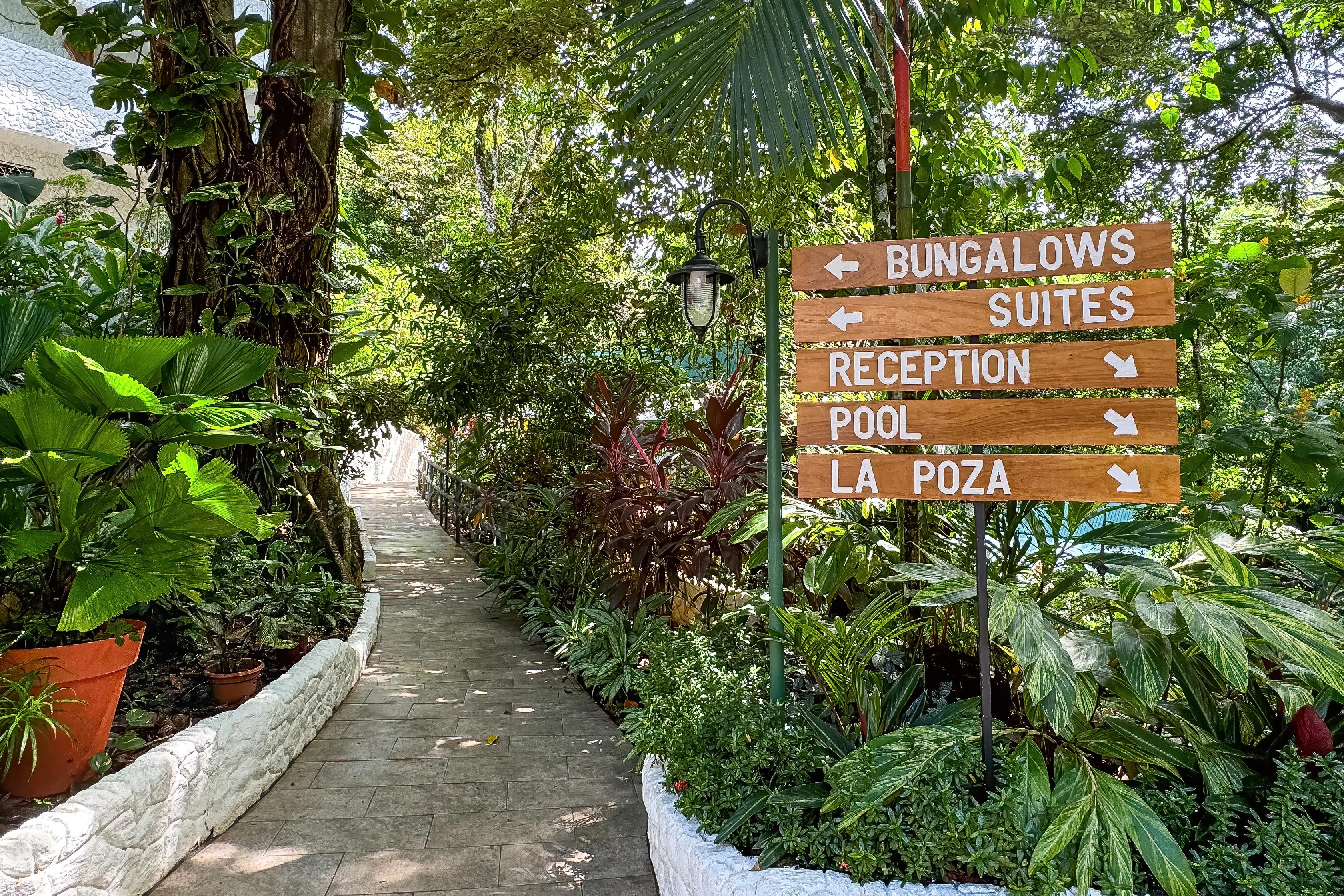 Ecotica Boutique Hotel (Adults Only) マヌエル・アントニオ エクステリア 写真
