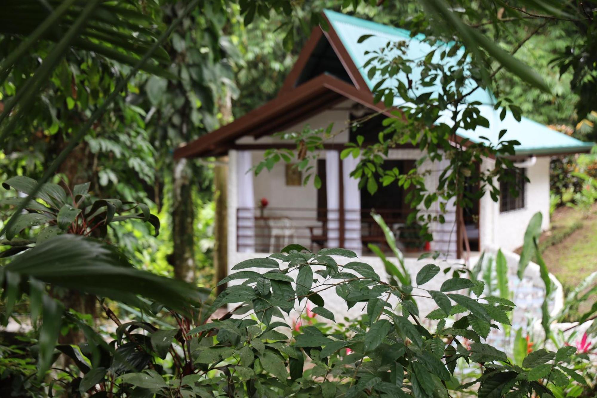 Ecotica Boutique Hotel (Adults Only) マヌエル・アントニオ エクステリア 写真