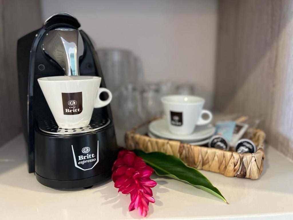 Ecotica Boutique Hotel (Adults Only) マヌエル・アントニオ エクステリア 写真